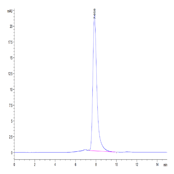 Mouse LIF Protein (LIF-MM201) Mouse LIF Protein (LIF-MM201)