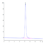 Cynomolgus LILRA4/CD85g Protein (LIL-CM1A4)