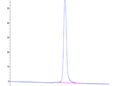 Cynomolgus LILRA4/CD85g Protein (LIL-CM1A4)