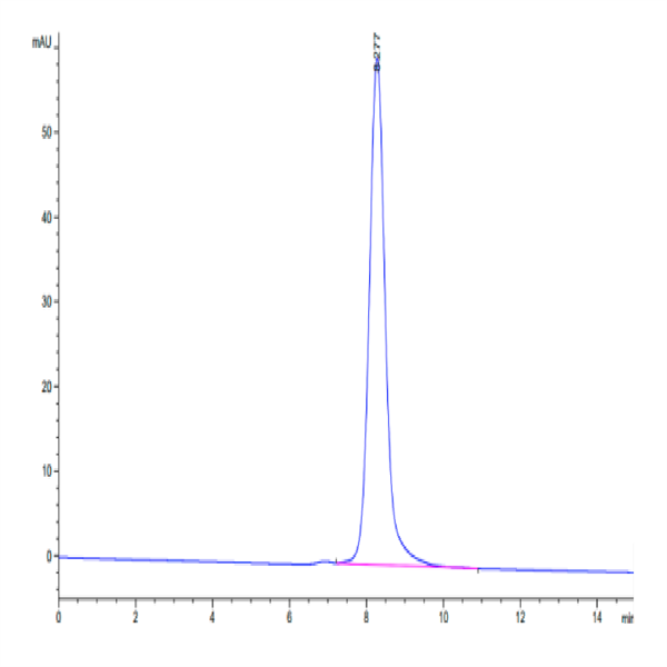 Cynomolgus LILRA4/CD85g Protein (LIL-CM1A4) Cynomolgus LILRA4/CD85g Protein (LIL-CM1A4)