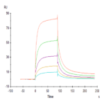 Rhesus macaque LILRB1/CD85j/ILT2 Protein (LIL-CM1B1)