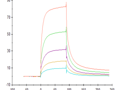 Rhesus macaque LILRB1/CD85j/ILT2 Protein (LIL-CM1B1)