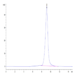 Cynomolgus LILRB2/CD85d/ILT4 Protein (LIL-CM1B2)