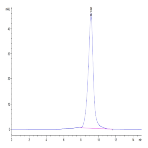 Cynomolgus LILRB2/CD85d/ILT4 Protein (LIL-CM1B2)