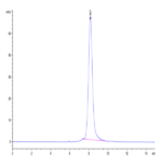 Rhesus macaque LILRB1/CD85j/ILT2 Protein (LIL-CM1B3)