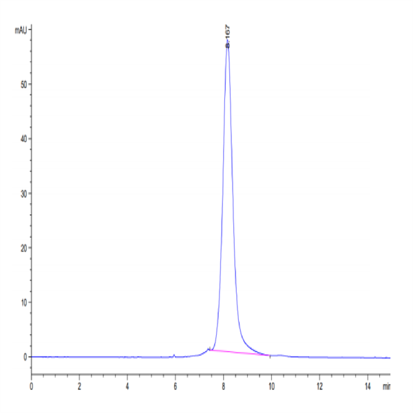 Rhesus macaque LILRB1/CD85j/ILT2 Protein (LIL-CM1B3)