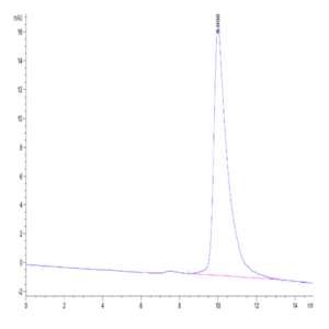 Cynomolgus LILRB1/CD85j/ILT2 Protein (LIL-CM1RB)
