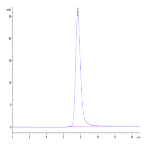 Rhesus macaque LILRB1/CD85j/ILT2 Protein (LIL-CM2B1)
