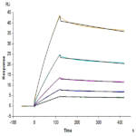 Cynomolgus LILRB2/CD85d/ILT4 Protein (LIL-CM2B2)