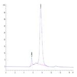 Cynomolgus LILRB2/CD85d/ILT4 Protein (LIL-CM2B2)