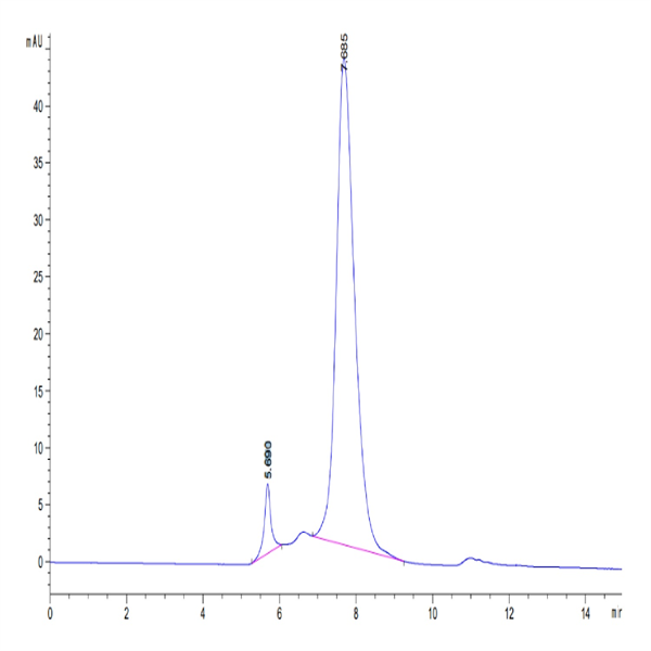 Cynomolgus LILRB2/CD85d/ILT4 Protein (LIL-CM2B2)