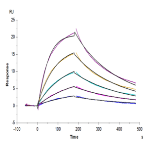Rhesus macaque LILRB1/CD85j/ILT2 Protein (LIL-CM2B3)