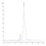 Rhesus macaque LILRB1/CD85j/ILT2 Protein (LIL-CM2B3)