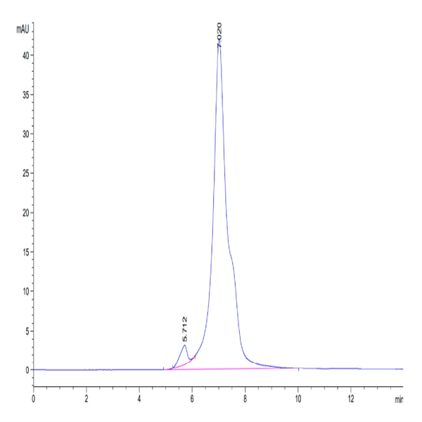 Rhesus macaque LILRB1/CD85j/ILT2 Protein (LIL-CM2B3)