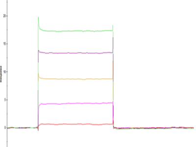 Human LILRB1/CD85j/ILT2 Domain1&2 Protein (LIL-HM11D)