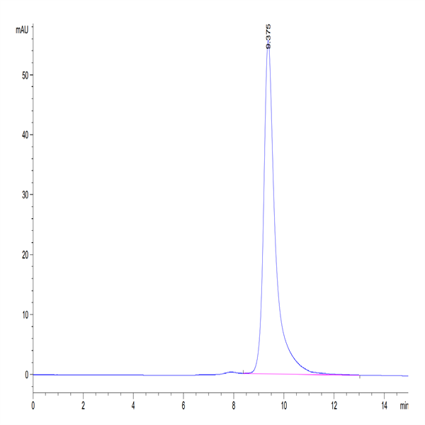 Human LILRB1/CD85j/ILT2 Domain1&2 Protein (LIL-HM11D)