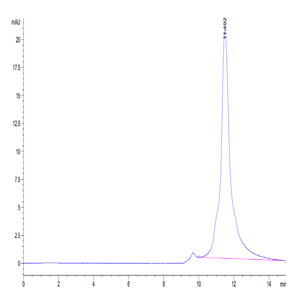 Human LILRB2/CD85d/ILT4 Domain1&2 Protein (LIL-HM12D)
