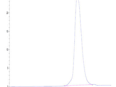 Human LILRB1/CD85j/ILT2 Protein (LIL-HM13D)