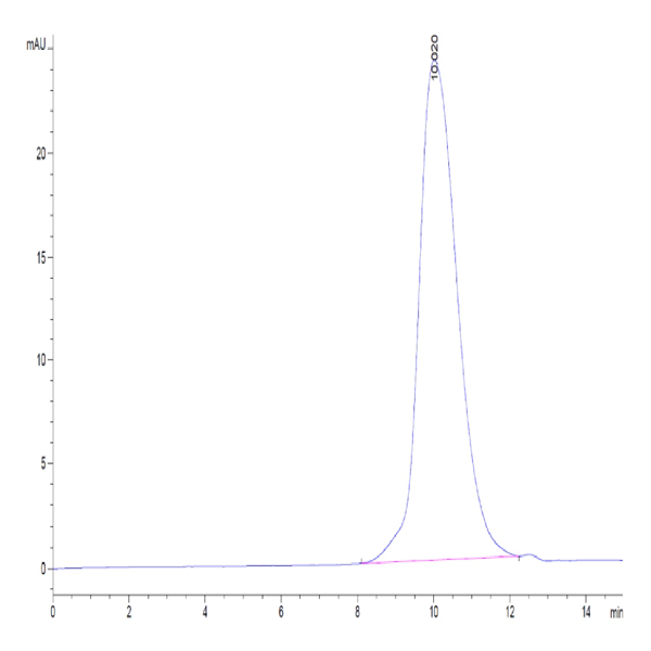 Human LILRB1/CD85j/ILT2 Protein (LIL-HM13D)