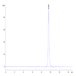 Human LILRB4/CD85k/ILT3 Domain1&2 Protein (LIL-HM14D)