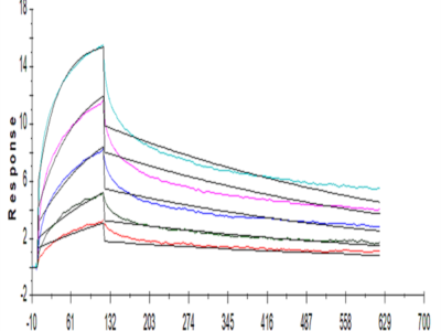 Human LILRB1/CD85j/ILT2 Protein (LIL-HM2B1)