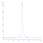 Human LILRB1/CD85j/ILT2 Protein (LIL-HM2B1)