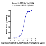 Human LILRB2/CD85d/ILT4 Protein (LIL-HM2B2)