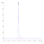 Human LILRB2/CD85d/ILT4 Protein (LIL-HM2B2)