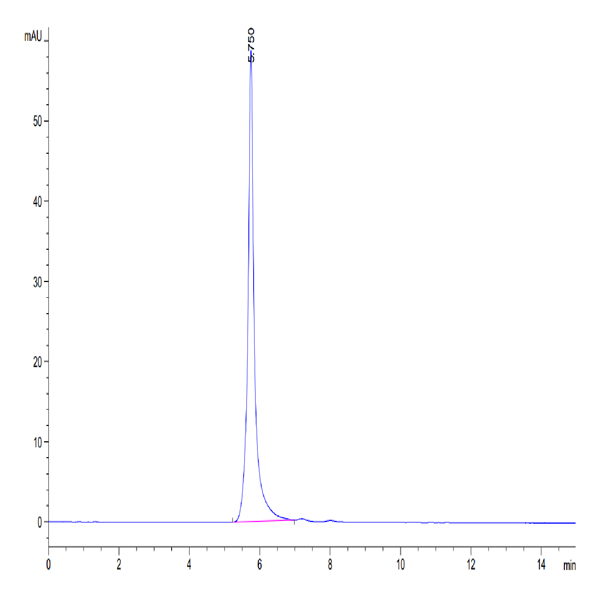 Human LILRB2/CD85d/ILT4 Protein (LIL-HM2B2)
