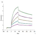 Human LILRB4/CD85k/ILT3 Protein (LIL-HM2B4)