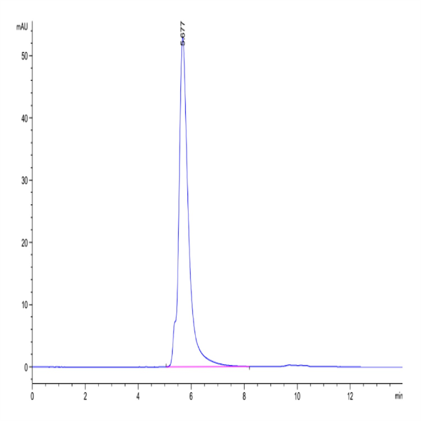 Human LILRB4/CD85k/ILT3 Protein (LIL-HM2B4)