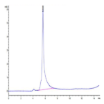 Human LILRB2/CD85d/ILT4 Protein (LIL-HM3B2)