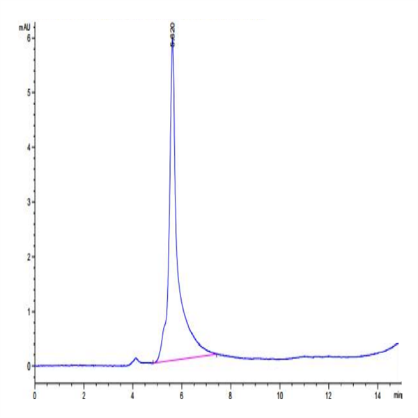 Human LILRB2/CD85d/ILT4 Protein (LIL-HM3B2)