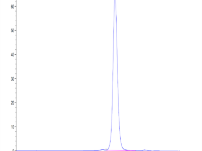 Human LILRA1/CD85i/LIR-6 Protein (LIL-HM4A1)