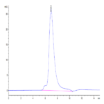 Biotinylated Human LILRA1/CD85i/LIR-6 Protein (LIL-HM4A1B)