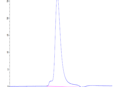 Biotinylated Human LILRA1/CD85i/LIR-6 Protein (LIL-HM4A1B)