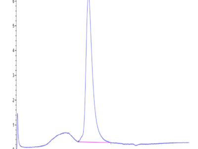 Human LILRA2/CD85h/ILT1 Protein (LIL-HM4A2)