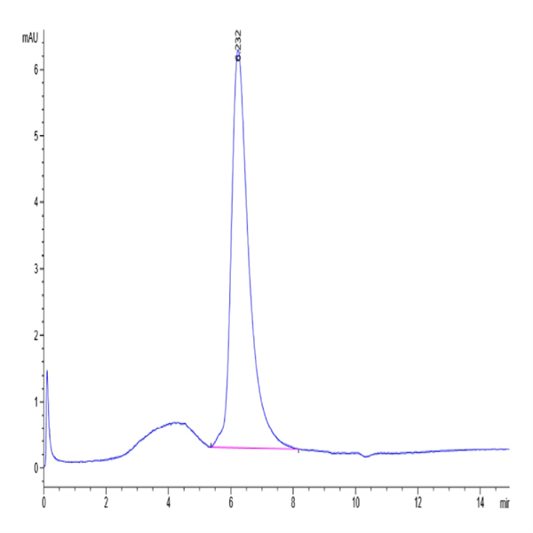 Human LILRA2/CD85h/ILT1 Protein (LIL-HM4A2)