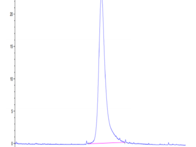 Biotinylated Human LILRA2/CD85h/ILT1 Protein (LIL-HM4A2B)