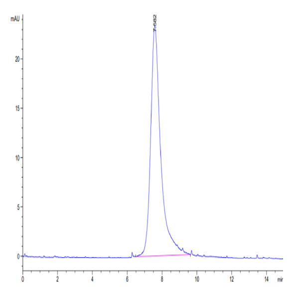 Biotinylated Human LILRA2/CD85h/ILT1 Protein (LIL-HM4A2B)