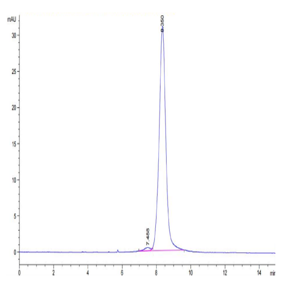 Biotinylated Human LILRA3/CD85e Protein (LIL-HM4A3B) Biotinylated Human LILRA3/CD85e Protein (LIL-HM4A3B)