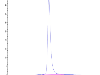 Human LILRA4/CD85g Protein (LIL-HM4A4)