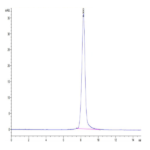 Biotinylated Human LILRA4/CD85g Protein (LIL-HM4A4B)