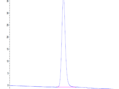 Human LILRA5/CD85f/ILT11 Protein (LIL-HM4A5)