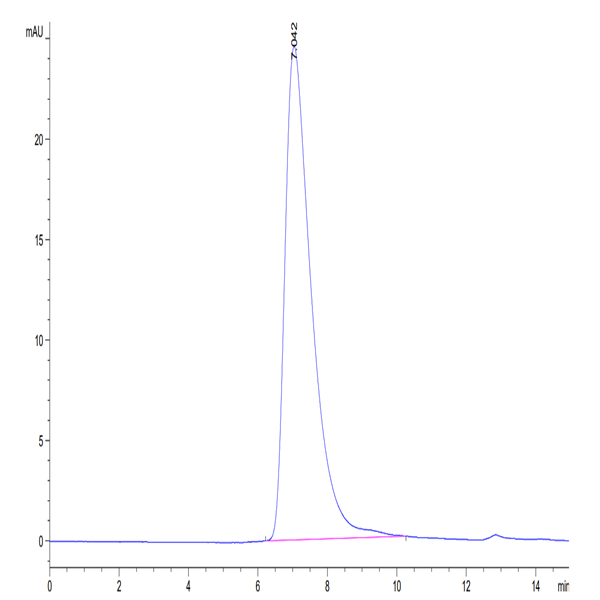 Biotinylated Human LILRA6/CD85b/ILT8 Protein (LIL-HM4A6B) Biotinylated Human LILRA6/CD85b/ILT8 Protein (LIL-HM4A6B)