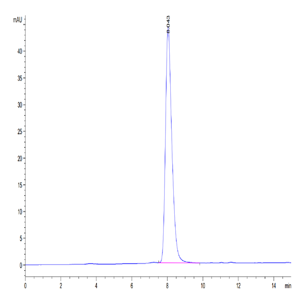 Human LILRB1/CD85j/ILT2 Protein (LIL-HM4B1)