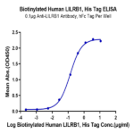 Biotinylated Human LILRB1/CD85j/ILT2 Protein (LIL-HM4B1B)