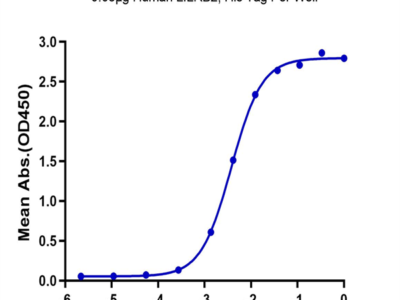 Human LILRB2/CD85d/ILT4 Protein (LIL-HM4B2)