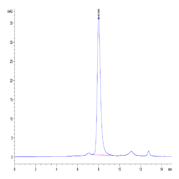 Human LILRB2/CD85d/ILT4 Protein (LIL-HM4B2)