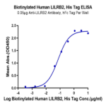 Biotinylated Human LILRB2/CD85d/ILT4 Protein (LIL-HM4B2B)